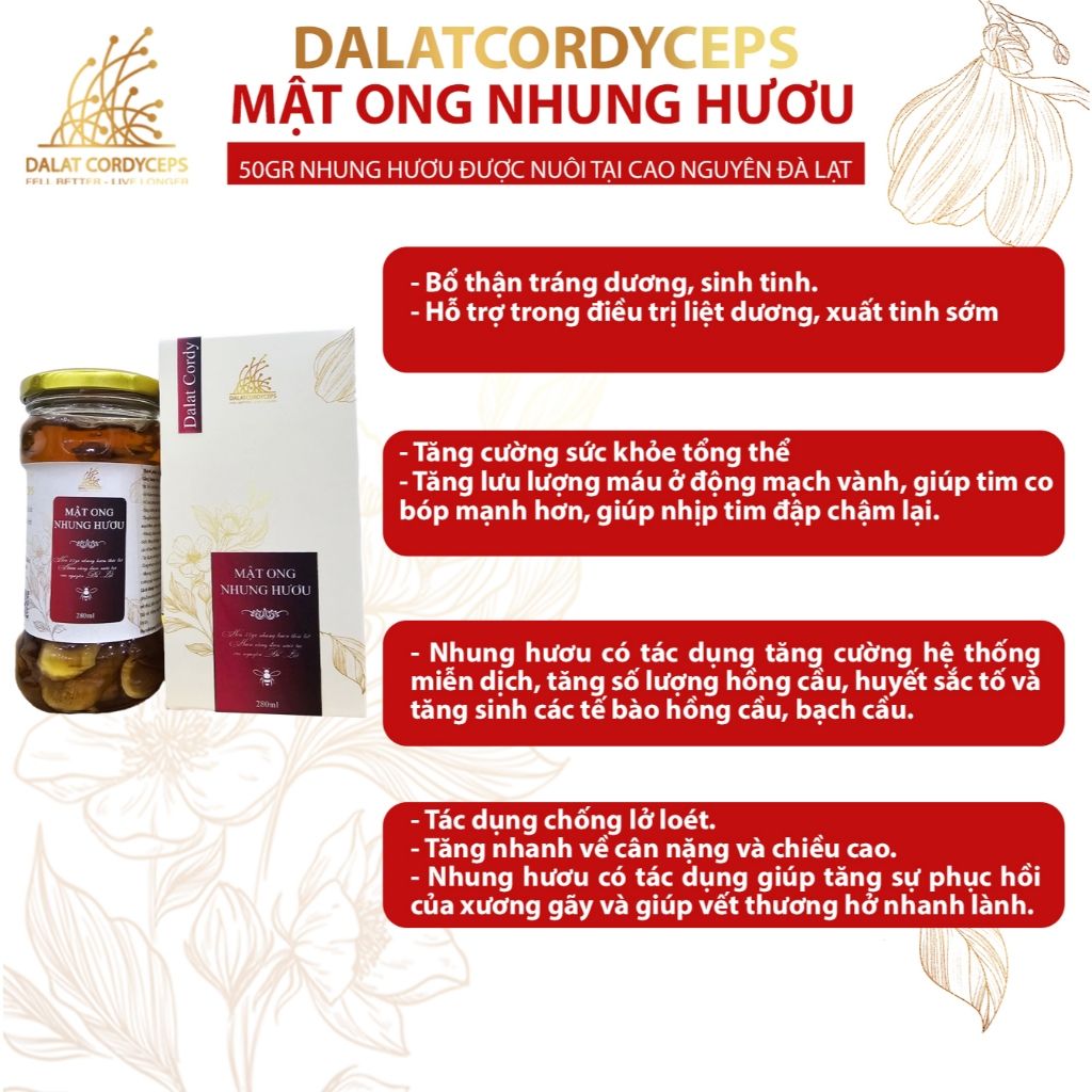 Mật ong ngâm nhung hươu - Hộp cao cấp