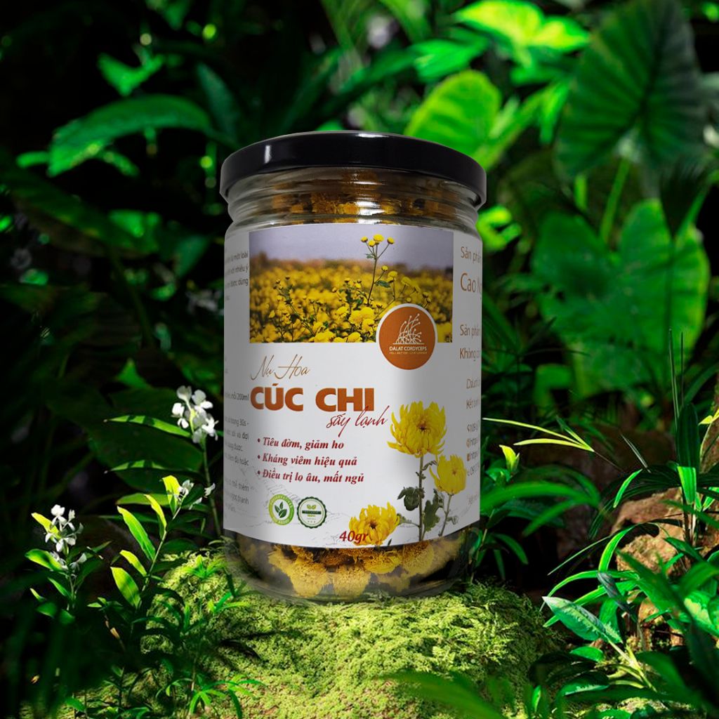 Trà thảo mộc nụ hoa cúc chi sấy lạnh - Dalat Cordyceps - loại thượng hạng