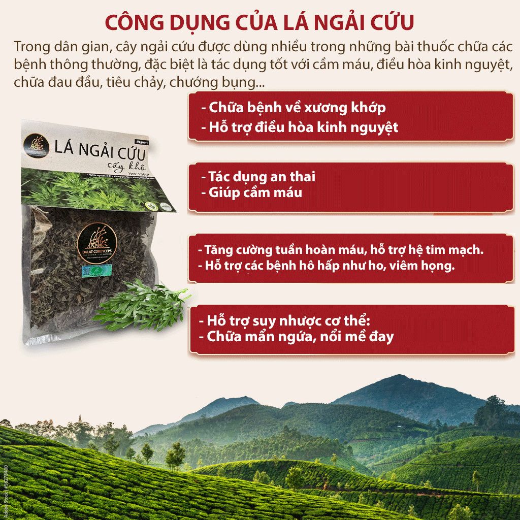 Lá ngải cứu sấy khô - Dalat Cordyceps