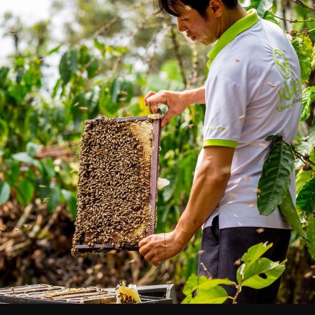Mật ong nguyên chất hoa xuyến chi Dalat Cordyceps
