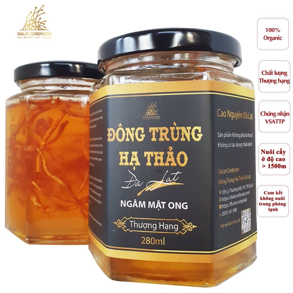 Nấm đông trùng hạ thảo tươi ngâm mật ong - Dalat Cordyceps