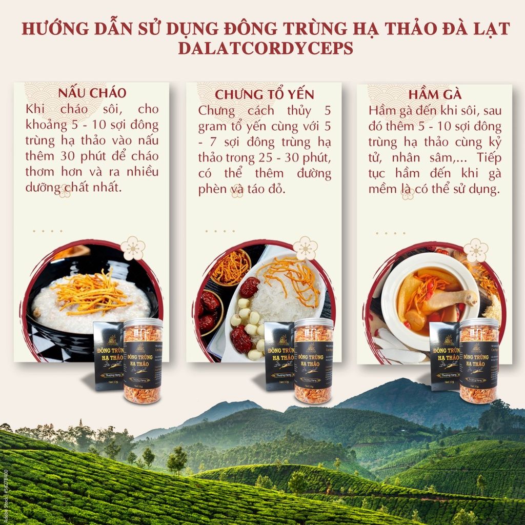 Nấm đông trùng hạ thảo khô sấy thăng hoa (50gr)