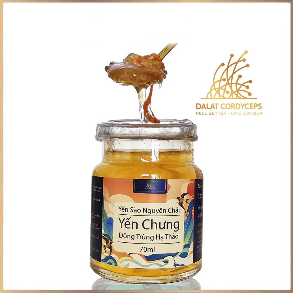 Yến sào chưng đông trùng hạ thảo organic - Dalat Cordyceps