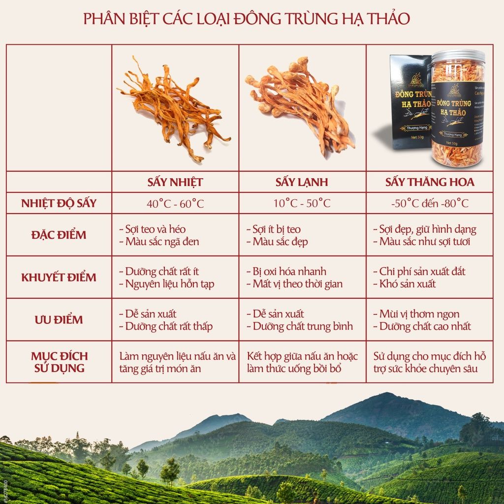 Nấm đông trùng hạ thảo khô sấy thăng hoa (50gr)