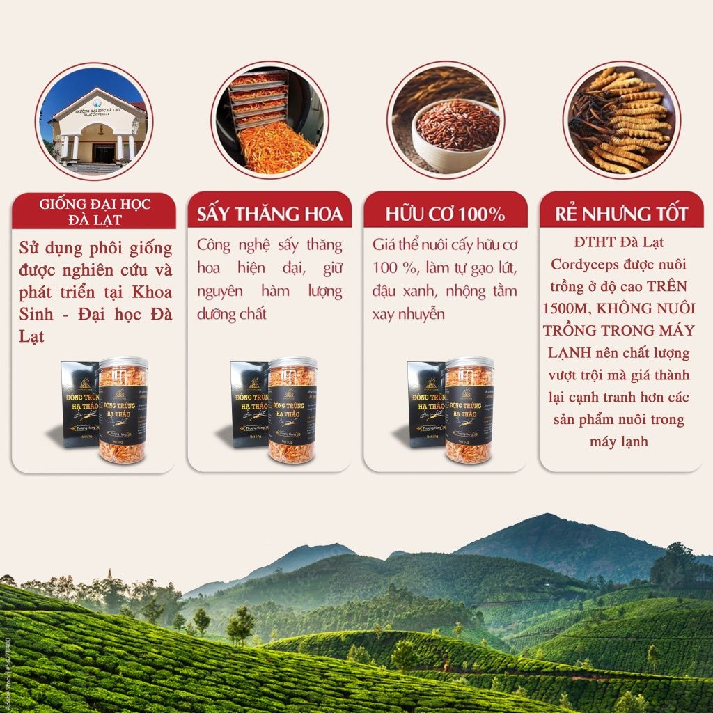 Nấm đông trùng hạ thảo khô sấy thăng hoa (50gr)