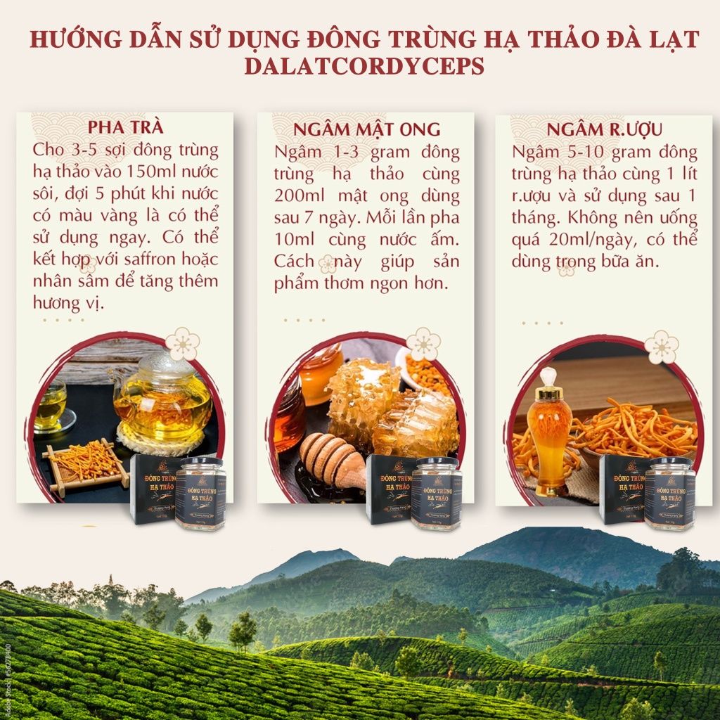 Nấm đông trùng hạ thảo khô sấy thăng hoa Dalat Cordyceps, 10gr, 3 hộp
