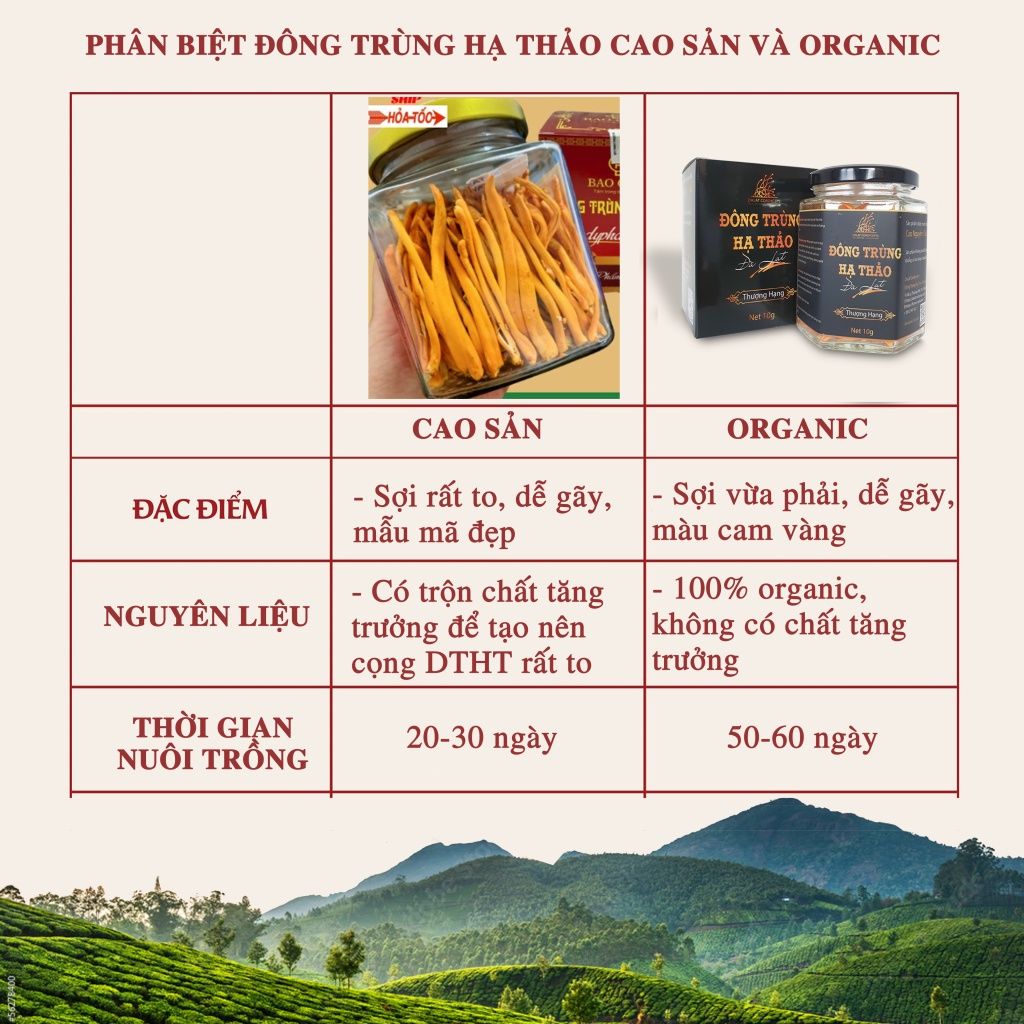 Nấm đông trùng hạ thảo khô sấy thăng hoa Dalat Cordyceps, 10gr, 3 hộp