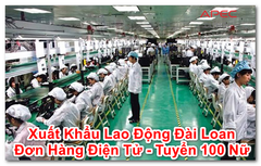 Xuất khẩu lao động Đài Loan, miễn phí nhập cảnh, lấy 100 nữ