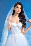  Lúp voan cô dâu dài -  Bridal Veil of First Love No.1 Dress 