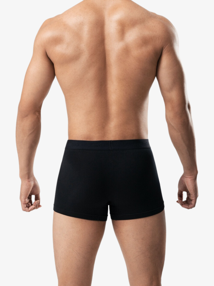Combo 4 quần lót nam Boxer Trunk cotton ALLPURE phiên bản đặc biệt