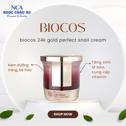  Kem dưỡng ẩm chống lão hóa tái tạo da Biocos Perfect Snail Cream 