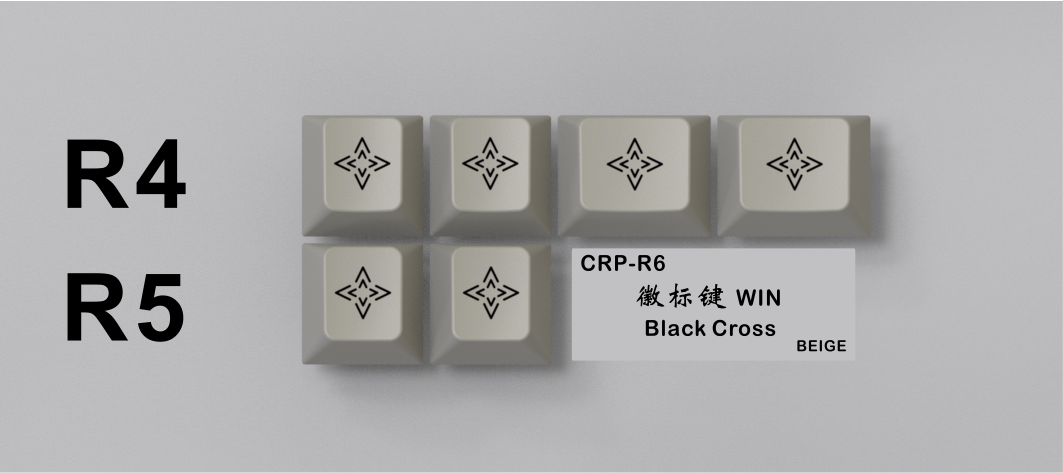  [In-Stock] CRP R6 