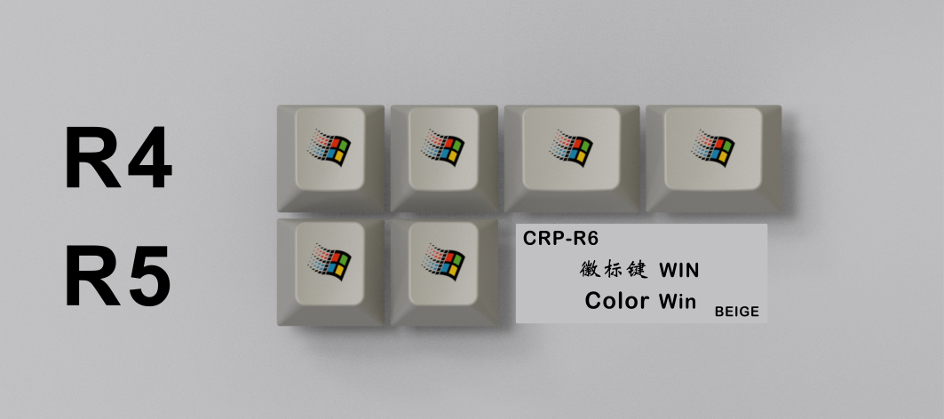  [In-Stock] CRP R6 