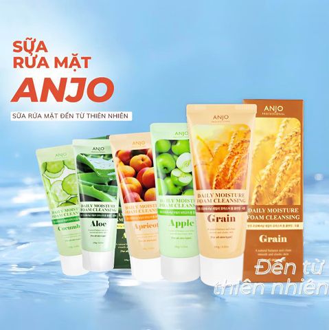 ANJO Sữa Rửa Mặt Professional Daily Moisture Foam Cleansing 100g