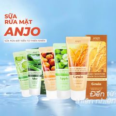 ANJO Sữa Rửa Mặt Professional Daily Moisture Foam Cleansing 100g