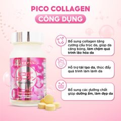 Genki Fami Thực phẩm bảo vệ sức khỏe Picocollagen