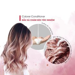 Dầu xả Alonzo Premium Colorer Conditioner 500ml