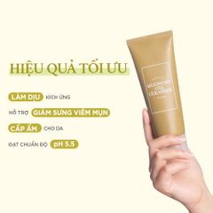 I'm From Sữa rửa mặt Mugwort Gel Cleanser 150ml