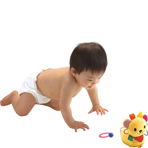 Đồ chơi trẻ sơ sinh 8 tháng tuổi - Kích thích bé tập bò từ People Nhật Bản BB125