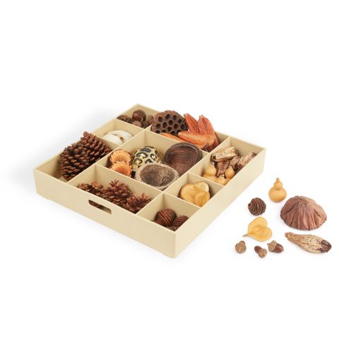 G4850 Guidecraft Nature's Geometry Loose Parts STEM Kit