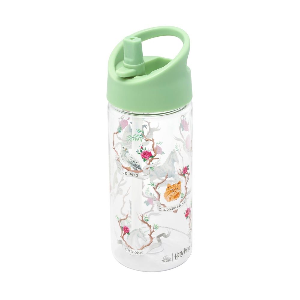 Bình nước trẻ em/Kids Drinking Bottle - Magical Creatures - 1089028
