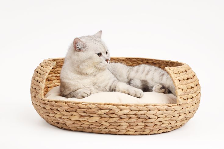 Lafos Water Hyacinth Pet Bed for Cats and Dogs- Pet nest