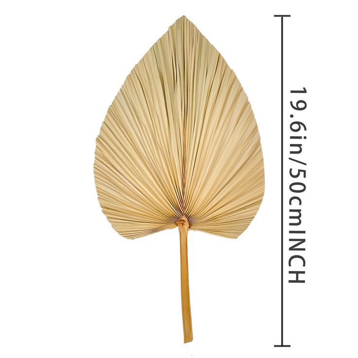 Lafos HandiCraft- 3pcs Artificial Dry Palm Leaves - Flowers Wall Decor Plant-Fan decor