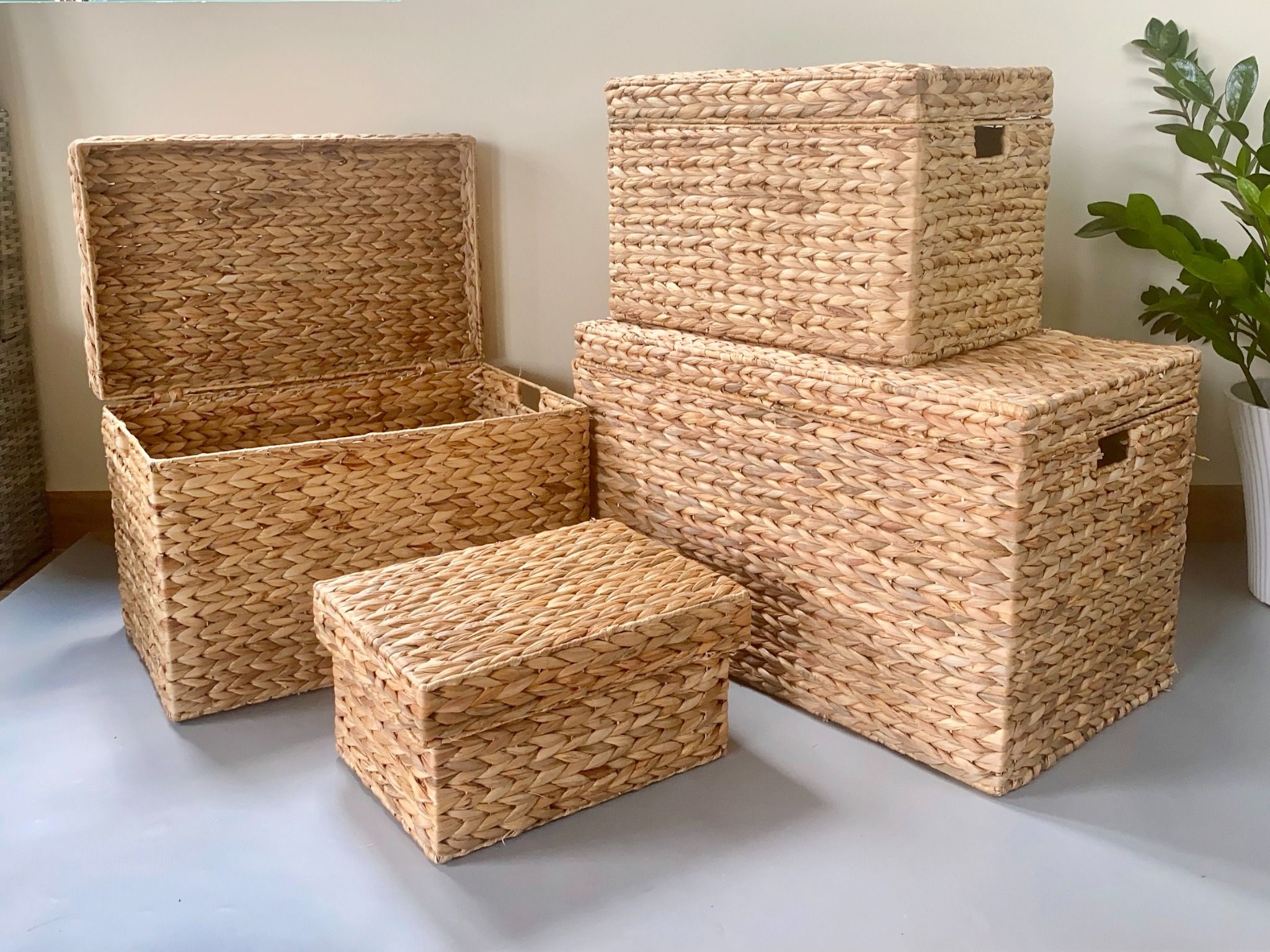 Lafos HandiCraft- Set of 4 Water Hyacinth Trunks
