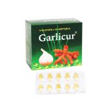 Garlicur - Phòng xơ vữa động mạch, nhồi máu cơ, hỗ trợ điều trị các bệnh nhiễm trùng, kích thích tiêu hóa (Chai 100 viên)