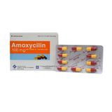 Amoxycilin 500mg - Điều trị các bệnh viêm nhiễm khuẩn (Hộp 10 vỉ x 10 viên)