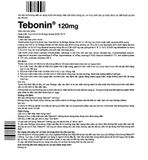 Tebonin 120mg - Điều trị rối loạn tuần hoàn máu não và ngoại biên (Hộp 2 vỉ x 15 viên)