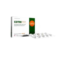 Cotripro Thái Minh - Viên uống hỗ trợ giảm triệu chứng của trĩ (Hộp 2 vỉ x 10 viên)