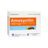 Amoxycilin 500mg - Điều trị các bệnh viêm nhiễm khuẩn (Hộp 10 vỉ x 10 viên)