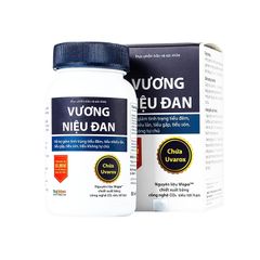 Vương Niệu Đan Thái Minh - Viên uống hỗ trợ giảm tình trạng tiểu đêm, tiểu nhiều lần, tiểu gấp, tiểu són, tiểu không tự chủ (Hộp 80 viên)