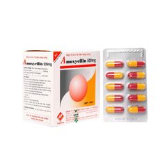 Amoxycilin 500mg Vidipha - Điều trị các nhiễm khuẩn (Hộp 10 vỉ x 10 viên)