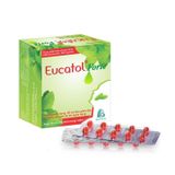 Eucatol Forte - Giúp làm ấm họng, hỗ trợ làm giảm đau rát họng, dịu cơn ho do ngứa họng (Hộp 10 vỉ x 10 viên)