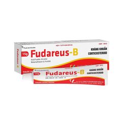 Fudareus-B - Điều trị các trường hợp eczema (chàm) (Hộp 1 tuýp 15g)