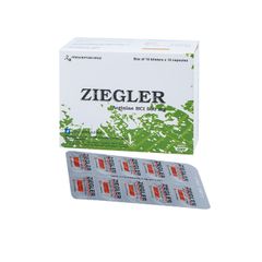 Ziegler 500mg - Điều trị duy trì tăng ammoniac máu, hỗ trợ các rối loạn khó tiêu (Hộp 6 vỉ x 10 viên)