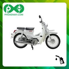 Xe cub 50cc Ally Classic bánh căm