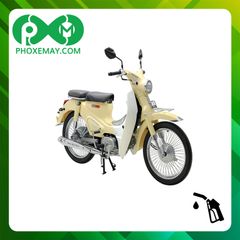 Xe cub 50cc Ally Classic bánh căm