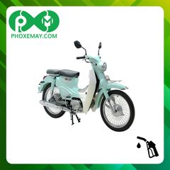 Xe cub 50cc Ally Classic bánh căm