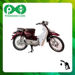 Xe cub 50cc Ally New LE bánh căm