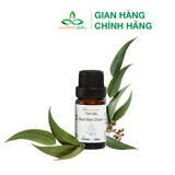  Tinh dầu bạch đàn chanh Ấn Độ 