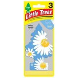  Cây thông thơm Little Trees Daisy Fields (Mỹ) 