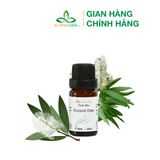  Combo Deal sốc Tinh dầu khuynh diệp 10ml + nến xông tinh dầu và đèn xông 