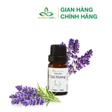  Combo Deal sốc Tinh dầu Oải Hương 10ml + nến xông tinh dầu và đèn xông 