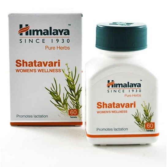  [Date: 03/2024] Viên uống Himalaya Shatavari tăng khả năng bài tiết sữa và điều hòa nội tiết tố nữ 60v/lọ 