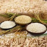  Gạo Basmati India (Ấn Độ) ngăn ngừa tiểu đường 