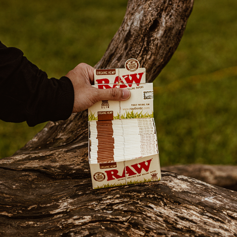  GIẤY RAW ORGANIC HEMP 