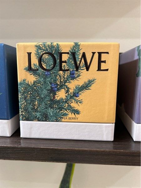 Nến LOEWE Juniper berry 170g
